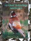 Az állami vadászvizsga tesztkérdései Az állami vadászvizsga tesztkérdései